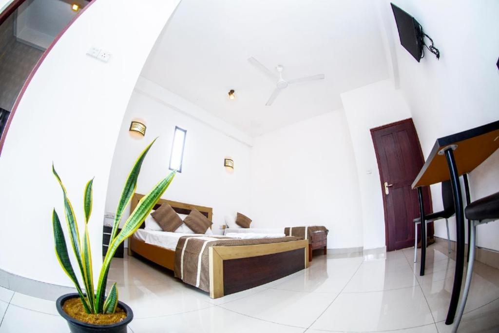 نيجومبو Hotel Blue Bird المظهر الخارجي الصورة